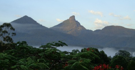 mount warning image with mist around base